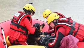 Cachorro resgatado de enchente em Santa Catarina usa o corpo para aquecer tutor com hipotermia