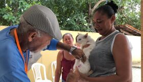 Após imunizar 1800 pets, Paulista divulga novos locais para vacinação antirrábica
