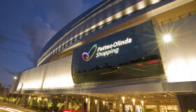 Shopping Patteo Olinda promove evento de adoção de animais neste fim de semana