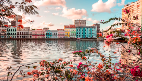 Conheça o Recife: Cidade de Mil Encantos