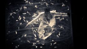 Fuerza Bruta volta ao Brasil com o espetáculo Aven