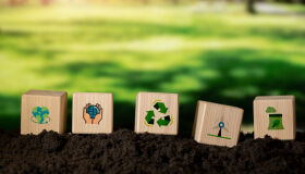 Meio ambiente em destaque: temas que os estudantes devem dominar em 2024