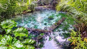 Turismo do Brasil ocupa melhor posição entre os países da América Latina, cita Fórum Mundial