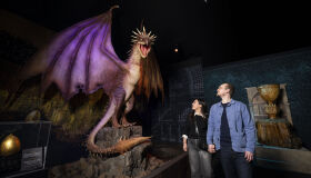 Maior exposição interativa de Harry Potter já tem data pra estrear em SP