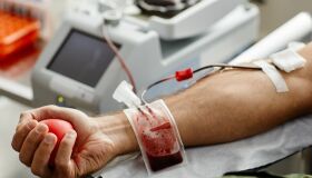 Direito à saúde e liberdade religiosa: o caso das Testemunhas de Jeová