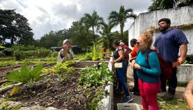 A agroecologia como ferramenta essencial na luta contra a fome