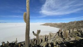 Salar de Uyuni: tudo sobre o maior deserto de sal do mundo!