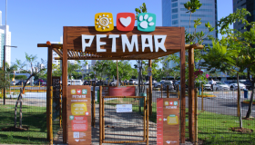 Pet Folia: shopping de Boa Viagem promove evento carnavalesco para tutores e cães