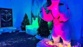 20 toneladas de gelo e uma aventura viking: curiosidades sobre o bar de gelo de Curitiba!