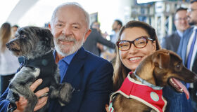 SinPatinhas: cadastro nacional de cães e gatos é lançado; pets agora têm "RG"