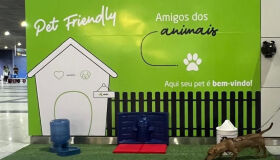 Aeroporto do Recife ganha espaços pet friendly