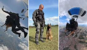 Cão policial faz salto inédito de paraquedas durante treinamento militar em São Paulo; assista