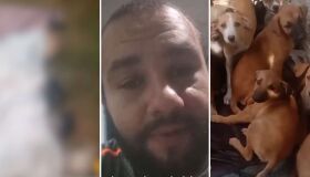 Caruaru: quatro cães e pombo morrem após explosão de bombas diante de abrigo na Véspera de São João