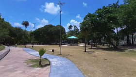 Olinda: cadela morre eletrocutada ao encostar em poste na Praça do Carmo