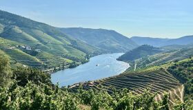 Douro: muito mais que vinho