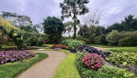 Joinville: tem muita coisa pra fazer