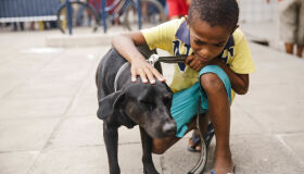 Olinda promove evento de adoção de pets a partir desta quarta-feira (13)