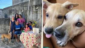Dia do Vira-Lata: conheça histórias de cães que mudaram a vida de seus tutores
