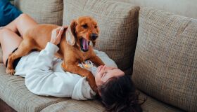 Alergia não precisa ser motivo para abrir mão do pet e, muitas vezes, nem está ligada ao animal 