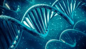 Três DNAs e uma nova vida: quando a ciência desafia a bioética