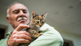 Convívio com pets ajuda a retardar o declínio cognitivo em pessoas de idade avançada