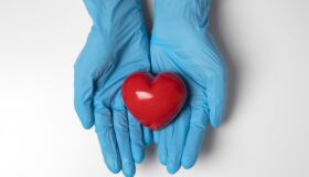Setembro Verde: veja mitos e verdades sobre doação de órgãos