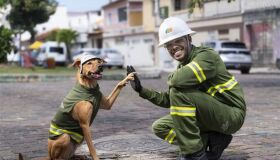 Cachorro caramelo participa de vídeo da Neoenergia sobre cuidados na rede elétrica; veja
