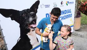 Jaboatão: Shopping recebe evento com vacinação, consultas veterinárias e adoção de cães resgatados