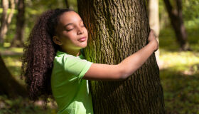 Animais falantes e crianças guardiãs  convidam: é hora de cuidar dos biomas brasileiros