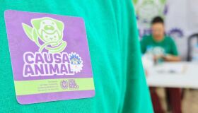 Jaboatão realiza vacinação de Cães e Gatos neste sábado (20)