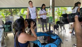 Jaboatão dos Guararapes recebe evento de adoção responsável e serviços para pets neste domingo (28)