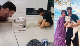 Cão surdo é adotado por casal com surdez e é adestrado em Libras