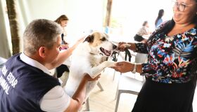 Jaboatão dos Guararapes retoma canal exclusivo para denúncias de maus-tratos a pets