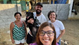 Abrigo busca voluntários para ajudar em "Banho Solidário" em mais de 90 cães no domingo (7)