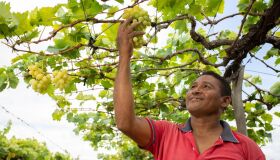 Senar-PE lança edital da ATeG para contratação de profissionais da agropecuária
