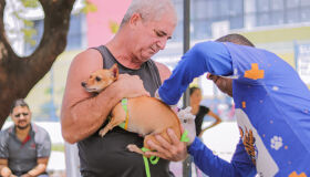 Cabo de Santo Agostinho realiza imunização antirrábica de cães nesta sexta-feira (17)