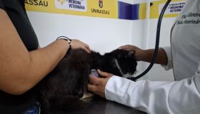 UNINASSAU realiza atendimentos gratuitos para cães e gatos durante o Outubro Rosa no Recife