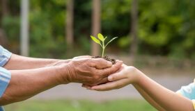 Confira lições da COP 30 para abordar meio ambiente na sala de aula em 2026