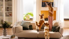 Pets e Condomínio: É possível uma convivência totalmente harmônica?