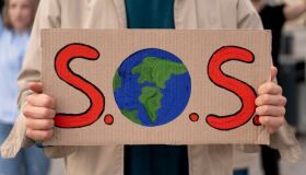 Arquitetura e clima: especialistas se reúnem no Recife para propor soluções sustentáveis 