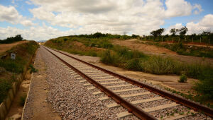 Governo Federal autoriza construção de ferrovia privada que ligará o Piauí ao Porto de Suape