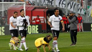 Ministério da Saúde chileno suspende jogo do Colo-Colo após caso de Covid-19