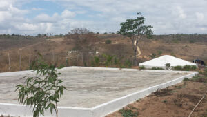 Programa de armazenamento de água no Nordeste atinge pior resultado
