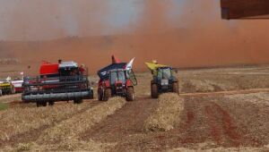 Valor da produção agrícola foi recorde em 2019 e atingiu R$ 361 bi