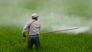 Sem acordo, votação do PL dos Agrotóxicos é adiada para terça-feira (29)