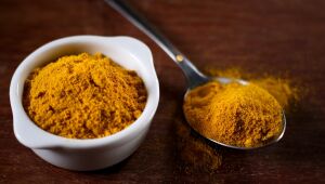 Pesquisas estudam alimentos que podem ter efeito antiviral