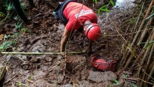 Brumadinho: MPF quer anular acordo que prevê multa de R$ 250 mi a Vale