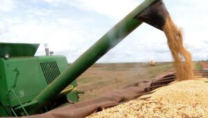 Novo fundo vai destinar US$ 68 milhões para agricultura sustentável no Brasil
