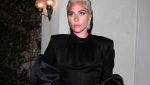 Lady Gaga tem dois cachorros roubados após passeio com 'dog walker'