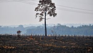 Câmara aprova regras para uso controlado do fogo em práticas agrícolas